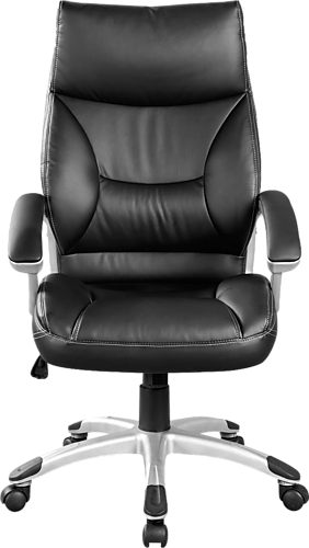 ASTEROPE PADDED BACK EXECUTIVE LEATHERETTE OFFICE CHAIR - BLACK