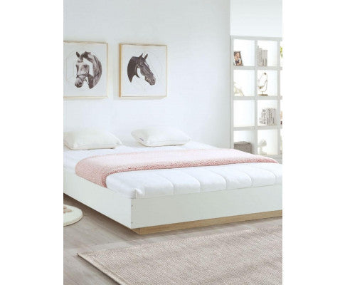 QUEEN BRAWEN BED BASE FRAME ONLY - WHITE & OAK