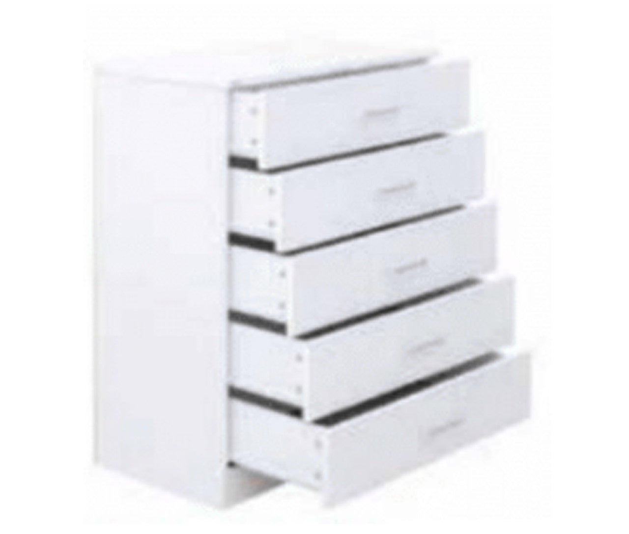 ALLEAH TALLBOY COLLECTION - ASSORTED COLOURS