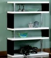POLYURETHANE BOOKCASES