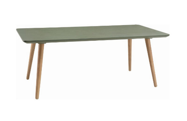 CARSYN RECTANGULAR COFFEE TABLE - 1200(W) X 600(D) -  PICKLE GREEN