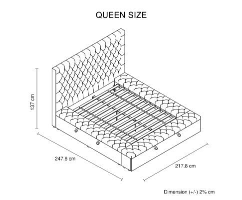 QUEEN RIDGEN BUTTONS VELVET BED WITH 3 STORAGE IN ALL THREE SIDES - BLUE