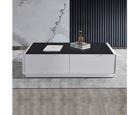 Nigelia 2 Drawer Coffee Table - Black & White